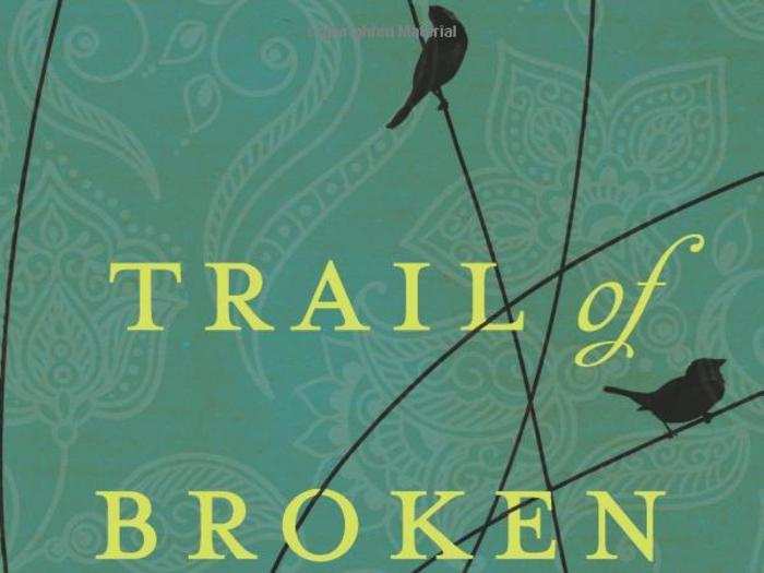 “Trail of Broken Wings” by Sejal Badani