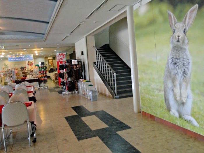 Inside the hotel were a reception desk, a gift shop, and zero guests to be seen.