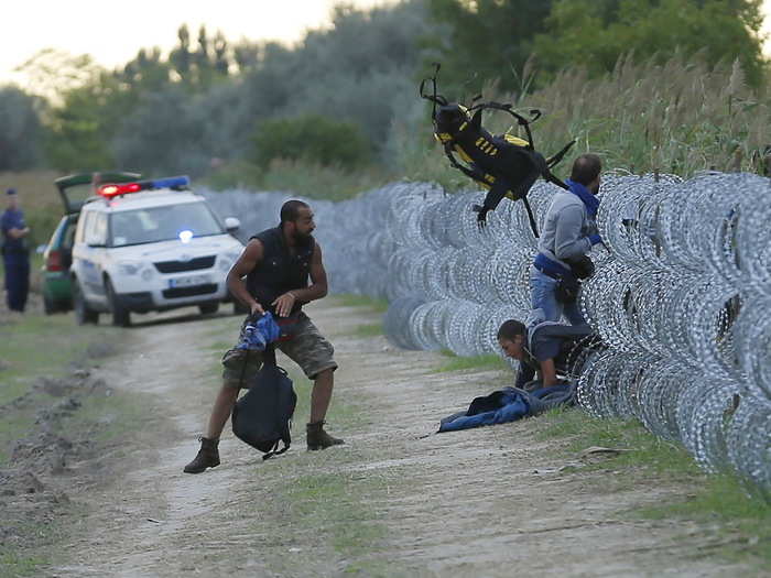 Hungarian police positioned nearby watch as Syrian migrants climb under a fence to enter Hungary at the Hungarian-Serbian border near Roszke, Hungary August 26, 2015. Hungary