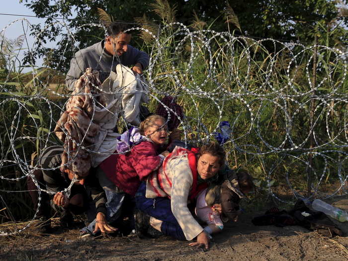 Syrian migrants cross under a fence as they enter Hungary at the border with Serbia, near Roszke, August 27, 2015.
