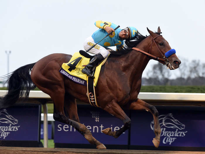 Jockey Victor Espinoza rides American Pharoah to win the 11th race of the 2015 Breeders Cup Championships at Keeneland. The team went on to win Triple Crown in June 6, 2015.