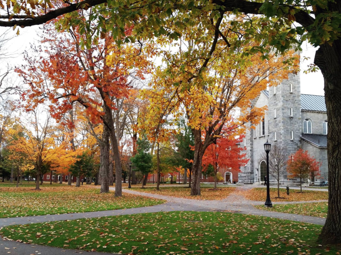 7. Bowdoin College