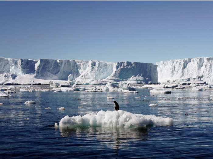 Antarctica