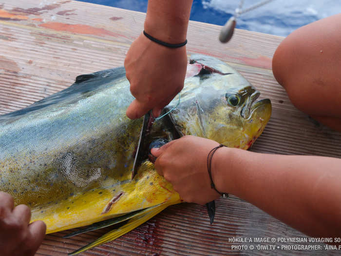 On a typical day, the first to rise set up fishing lines to catch food for the day.