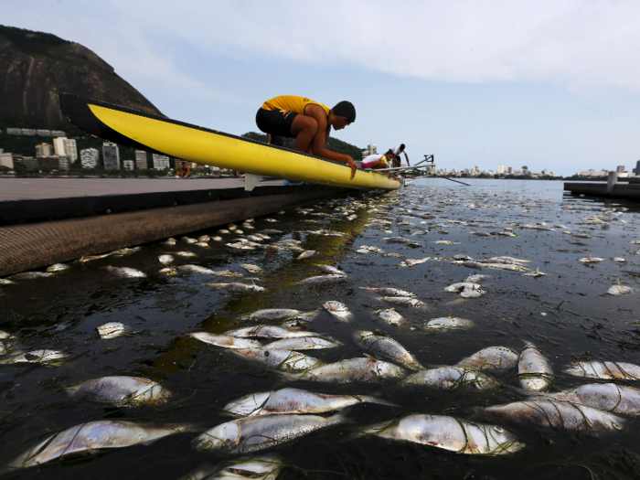 The countdown is on for Rio de Janeiro, Brazil, to be ready for the Summer Olympics starting August 5. The venue has been a hot topic this year, as concerns continue to rise over its water quality.