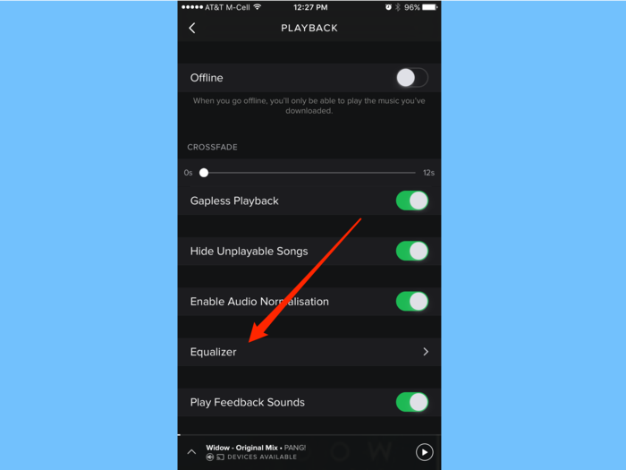 Then tap the Equalizer option.