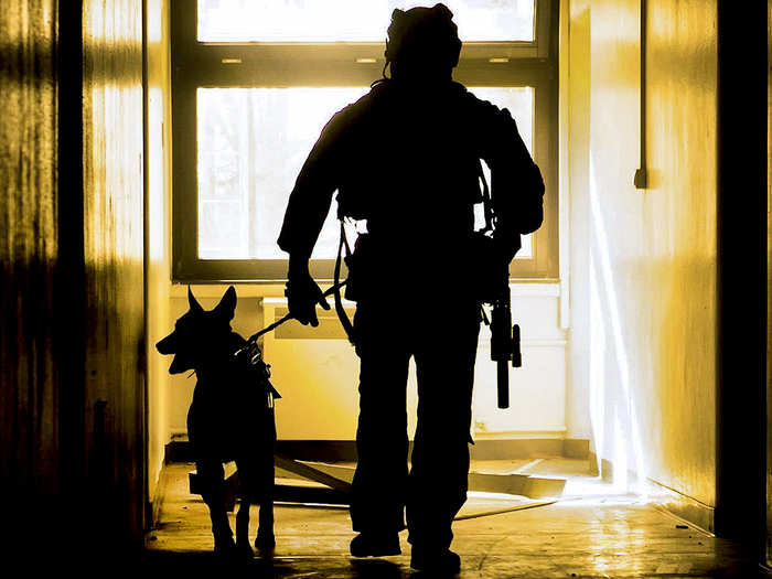 March 9: A dog handler with U.S. Army Special Forces clears a building during a close-quarters battle demonstration for Marines with Special-Purpose Marine Air-Ground Task Force Crisis Response-Africa in Baumholder, Germany. The use of military dogs is an efficient way to detect hazardous materials and locate individuals within a structure.