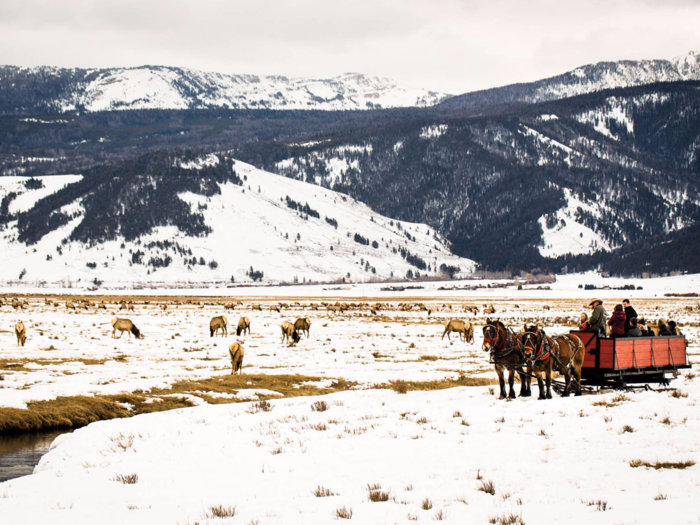 Jackson Hole, Wyoming