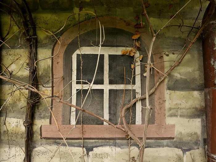 Roots have grown up and over its windows.