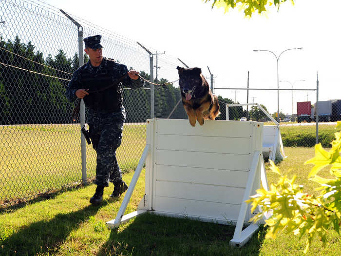 Hurdles and obstacle courses, built to emulate a combat environment, are the corner stones of training.