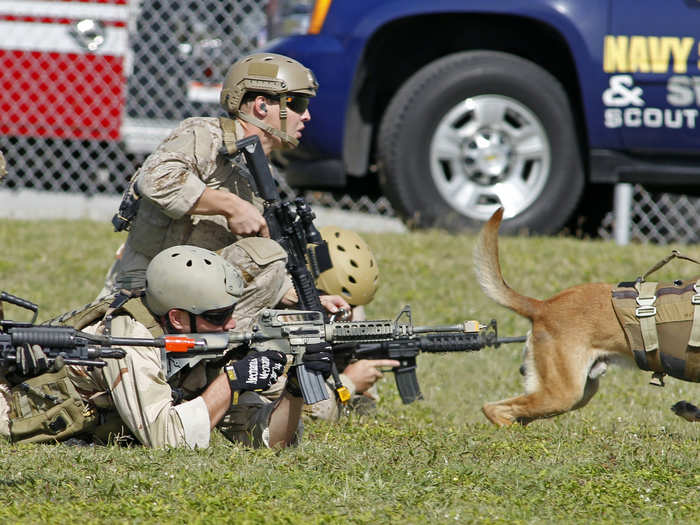 Prior to deployment, the dogs take part in simulated missions in order to fully bond with their teams.