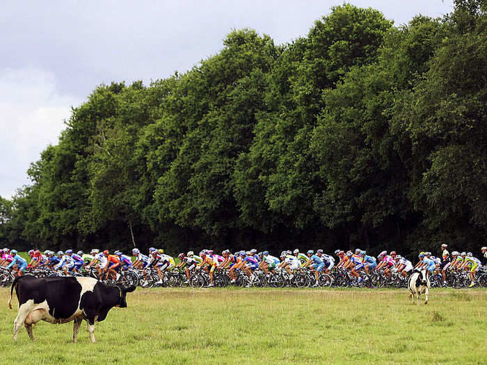 Inside the war over the Tour de France, and how it may change pro cycling forever