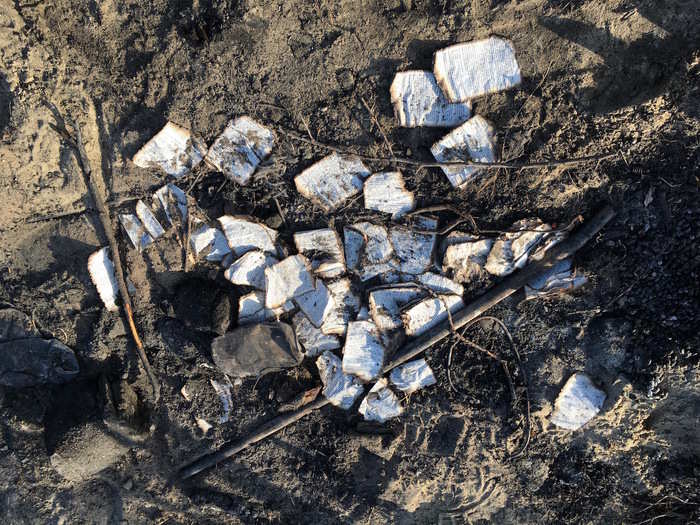 Burnt pages of a bible scattered around the remains of a bonfire.