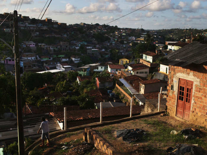 The Aedes aegypti mosquito, carrier of the Zika virus, can be found in 23 countries in South America and Central America, as well as some parts of the US, such as Florida.