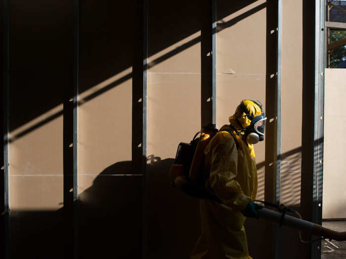 On Tuesday, January 26, Brazil started to spray insecticide around towns to kill off the Aedes aegypti mosquito.