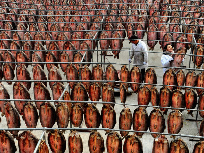 Fish dry on poles at a processing facility outside of Hangzhou, Zhejiang province.