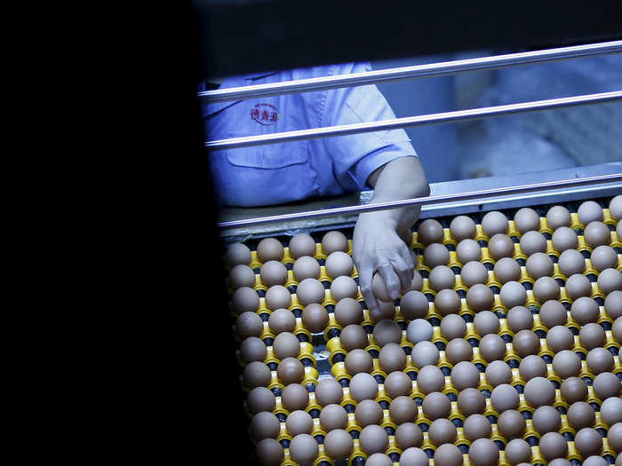 There are almost a billion egg-laying hens in China.