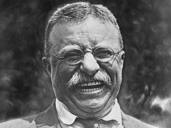 8. Theodore Roosevelt