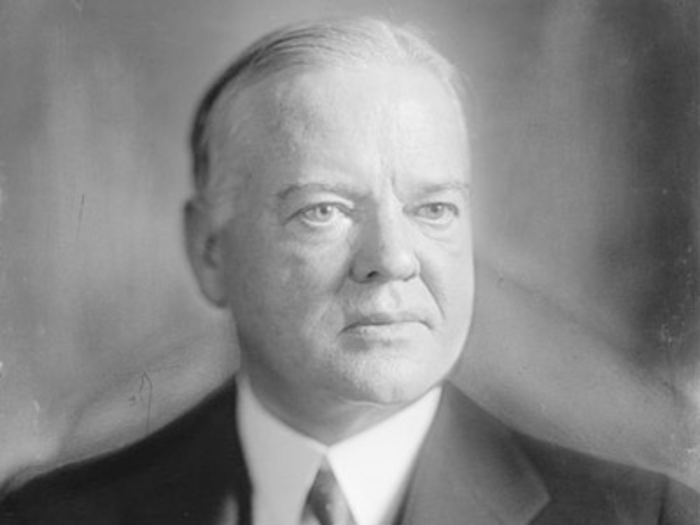 Herbert Hoover worked in the geology and mining field.