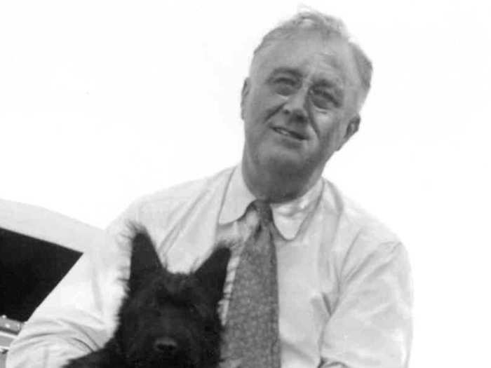 Franklin Delano Roosevelt: Scottish terrier named "Fala"