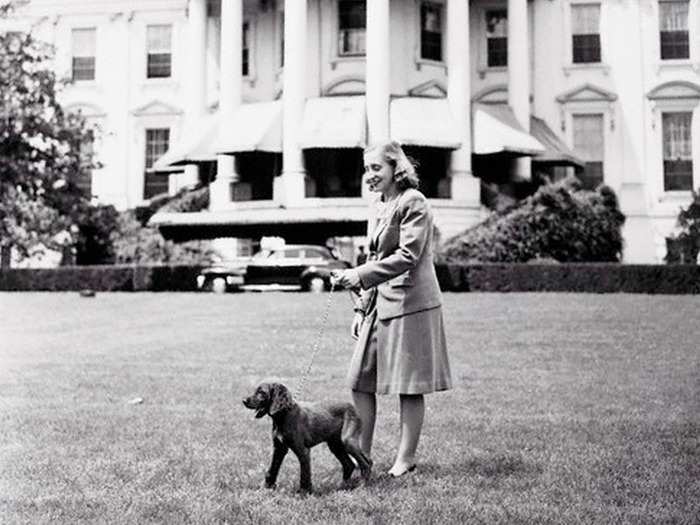 Harry Truman: Irish setter named "Mike"