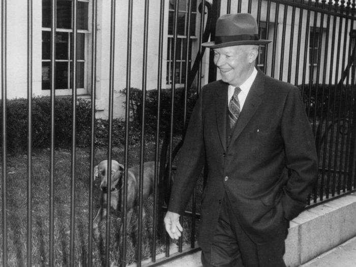 Dwight Eisenhower: Weimaraner named "Heidi," parakeet named "Gabby" (she was never photographed)