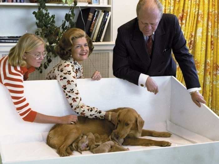 Gerald Ford: Golden retriever named "Liberty" and her litter of puppies born at the White House