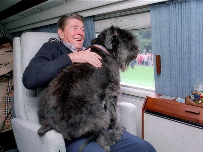 Ronald Reagan: Bouvier des Flandres herding dog named "Lucky"