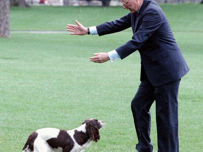 George H.W. Bush: Springer spaniel named "Millie"