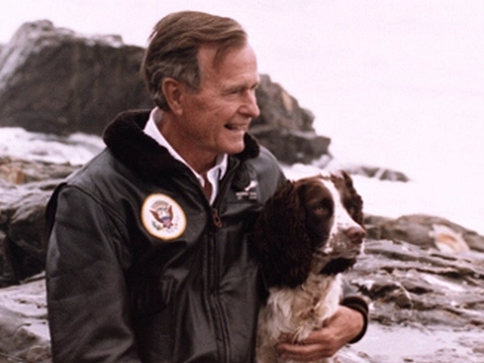 George H.W. Bush: Springer spaniel named "Ranger"