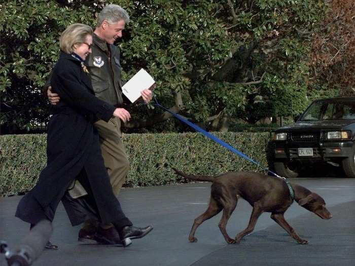 Bill Clinton: Labrador retriever named "Buddy"