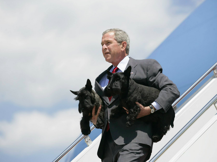 George W. Bush: Scottish terriers named "Barney" and "Miss Beazley"