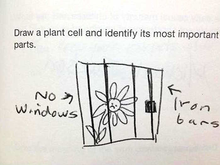 Life looks hard in this plant jail.