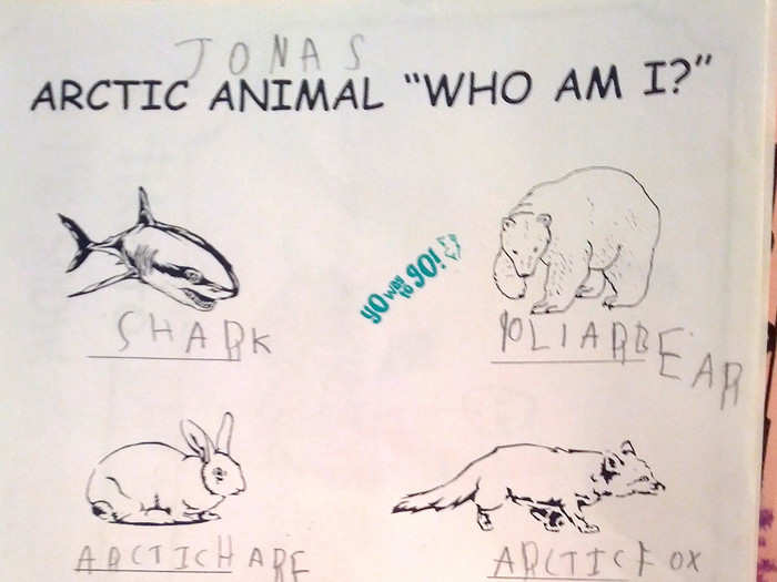 "My five year old got a couple wrong on his arctic animal quiz," according to this Reddit user.