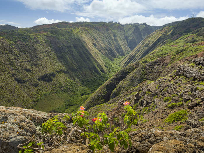 The island offers dramatic topography, with opportunities for hiking and horseback riding, helicopter flights, or playing golf on the Jack Nicklaus-designed 18-hole oceanside course.