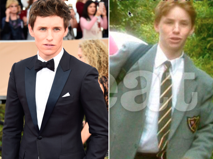 Eddie Redmayne was on a British series "Animal Ark" in 1998