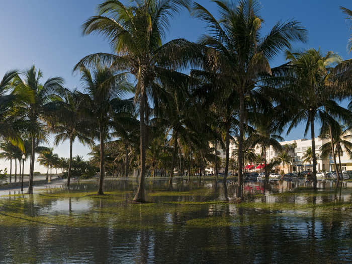 A real-life scene of Miami in 100 years if sea level rises 5 feet.