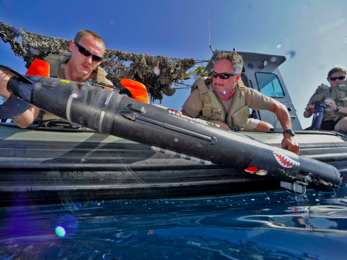 The Swordfish is designed to carry out reconnaissance missions using sophisticated acoustic transponders to help it navigate.