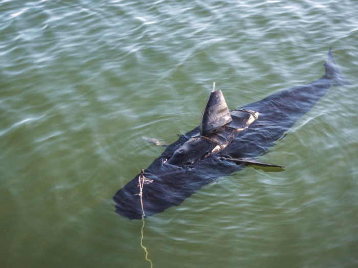 Shark drone! The GhostSwimmer is a US Navy submarine that looks and moves like a shark. The military have not released details about its intended use.