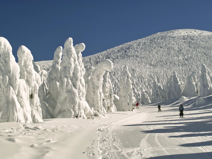 Visit the Zao Onsen hot spring and ski resort, located in the mountains of Japan’s Yamagata Prefecture, and you