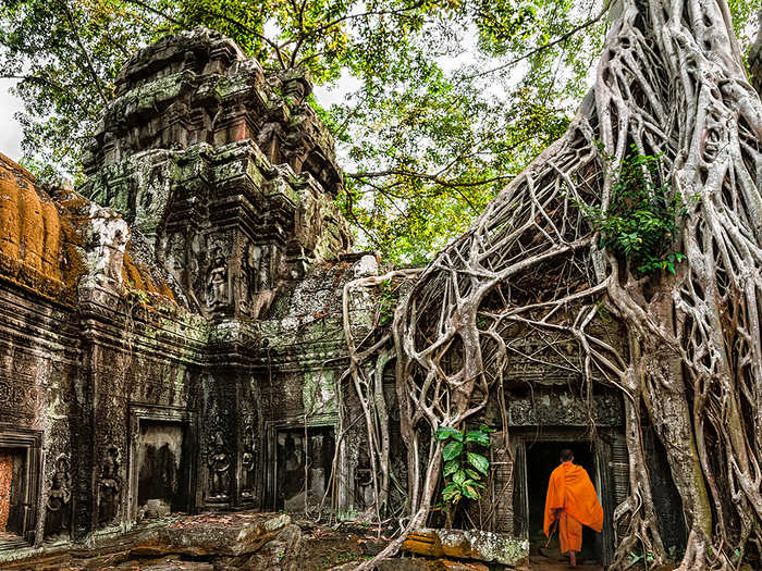 The Ta Prohm temple, located in Angkor, Cambodia, is an unbelievably fascinating sight, as huge tree roots dominate the ground and structure, growing sideways along its walls.