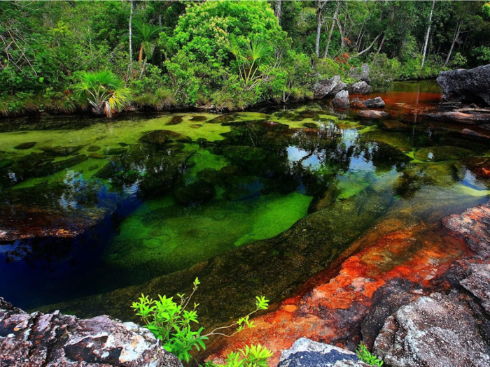 Colombia’s Caño Cristales is covered in an aquatic plant that takes on hues of red, blue, yellow, orange, and green under different weather conditions. Most of the year it looks like any other river, but from June to December, it is said to look like a breathtaking stream of rainbows.