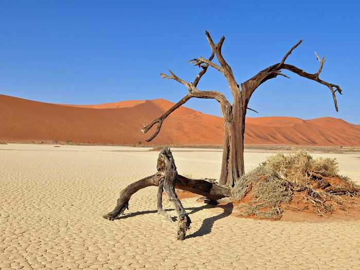 Namibia