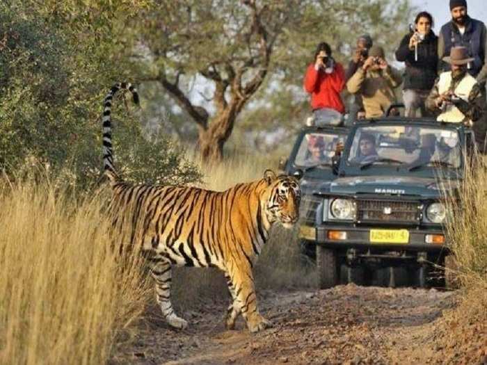 Ranthambore, Rajasthan