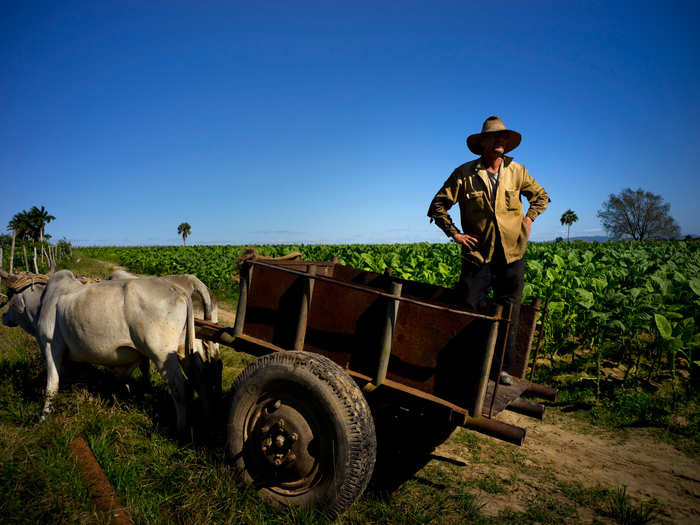 While farmers have seen an increase in business in 2015, they