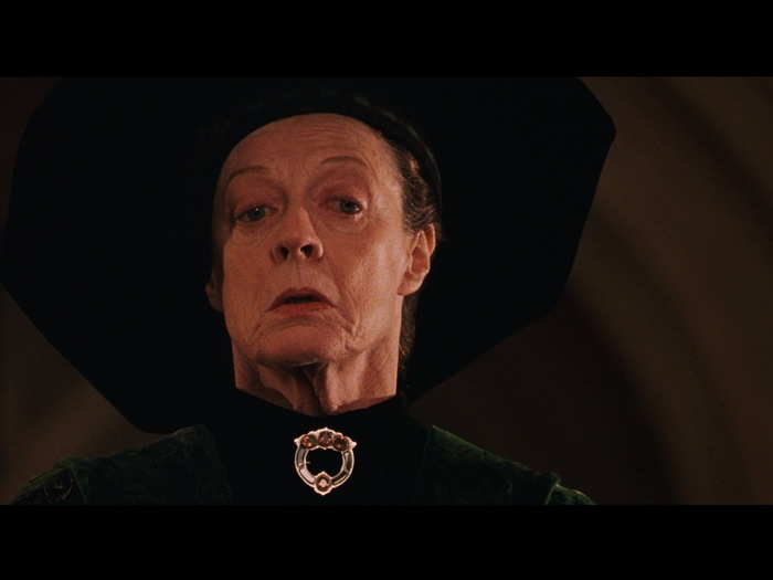 Professor McGonagall ranks the highest of all the characters for intellect.