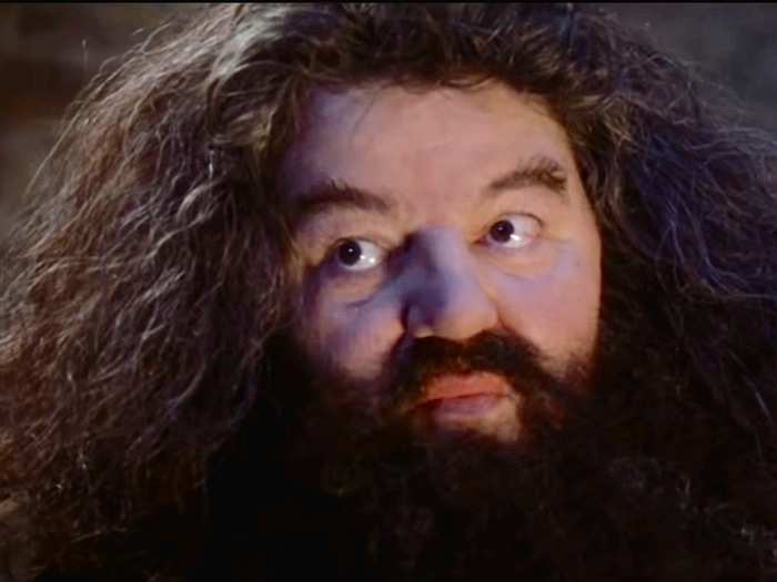 Hagrid ranked the highest when it came to liberalism and openness, but Watson picked up on his inner depression too.