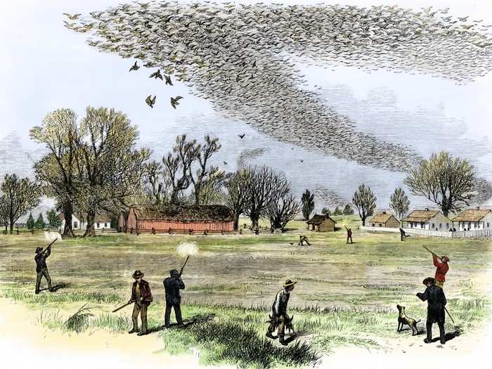 One flock that passed through southern Ontario in 1866 was estimated to include over 3.5 million pigeons. The cloud of birds blocked the sun and took 14 hours to pass.