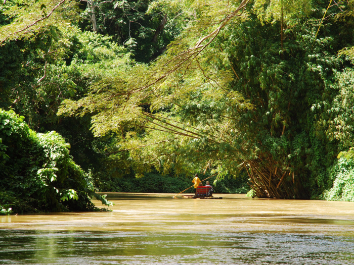 A unique Jamaican experience is a rafting tour down the Martha Brae, located approximately three miles from the town of Falmouth. Thirty-foot long bamboo rafts carry travelers down three miles of the Martha Brae River, where they can enjoy a swim. Famous fans of the activity include Johnny Cash, Kenny Rodgers, and Chuck Norris.