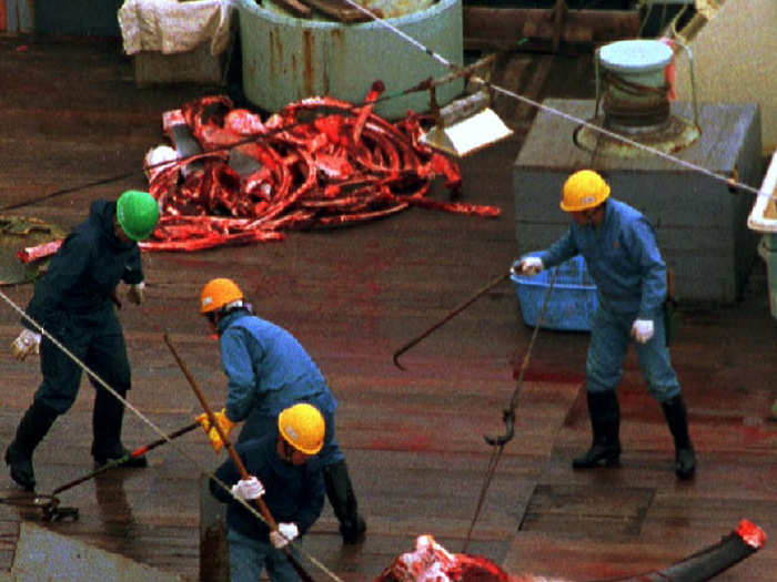 The ICJ says Japan has killed 14,000 whales since the global ban went into effect in 1986 — far beyond the needs of science.